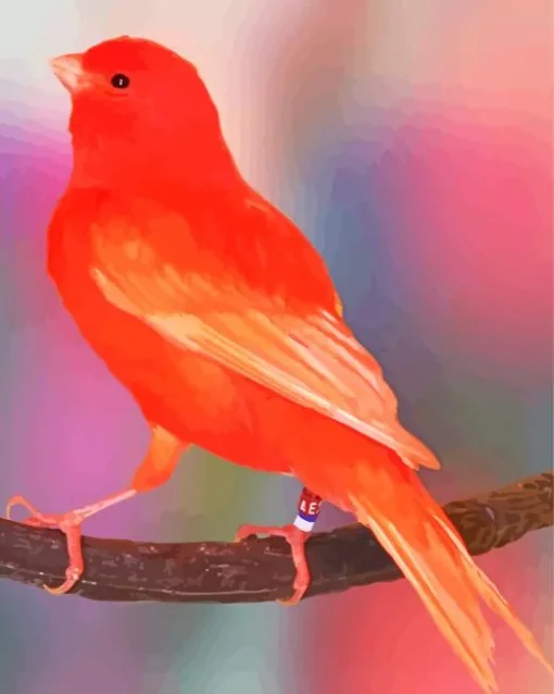 Red Canary Bird Diamond Painting