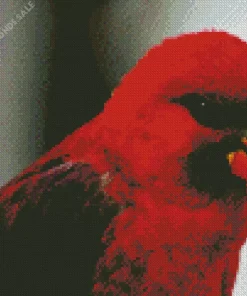 Red Cardinal Lory Bird Diamond Painting