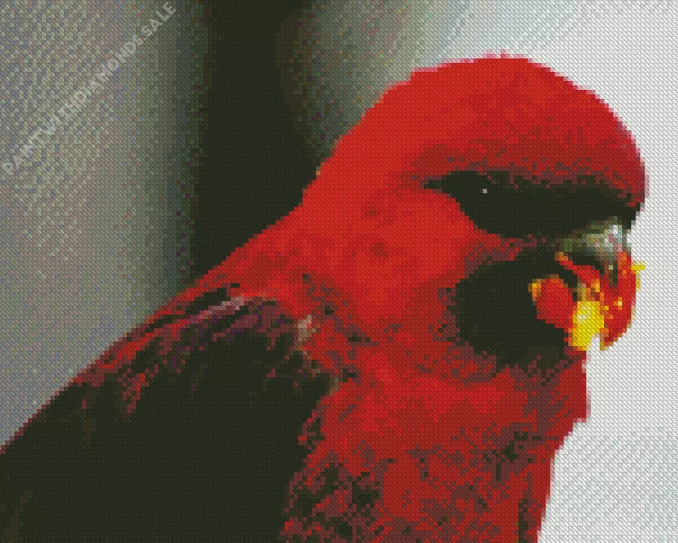 red Cardinal lory bird Diamond Dotz Red Cardinal Lory Bird Diamond Painting