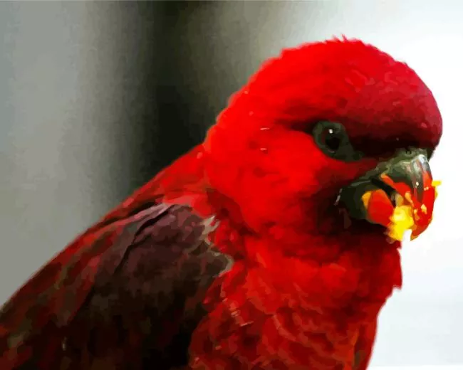 red Cardinal lory bird Diamond With Numbers Red Cardinal Lory Bird Diamond Painting
