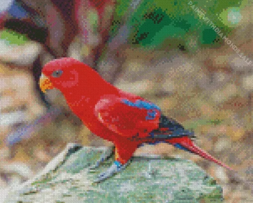 Red Eos Bird Diamond Painting