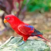 Red Eos Bird Diamond Painting