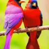 Red And Purple Lovebirds Diamond Painting