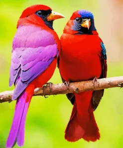 Red And Purple Lovebirds Diamond Painting