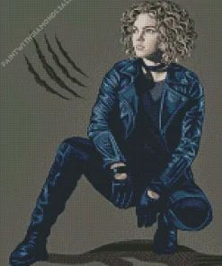 Selina Kyle Catwoman Art Diamond Painting