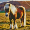 Small Shire Horse Diamond Painting