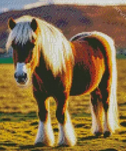 Small Shire Horse Diamond Painting