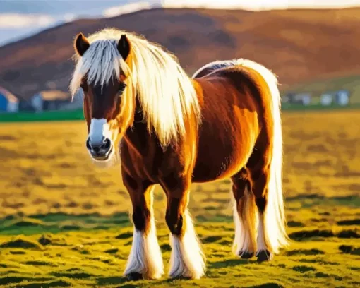 Small Shire Horse Diamond Painting