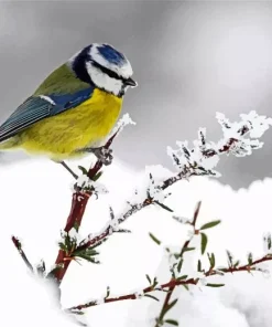 Snowy Blue Tit Diamond Painting