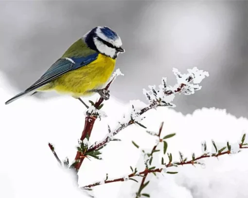 Snowy Blue Tit Diamond Painting