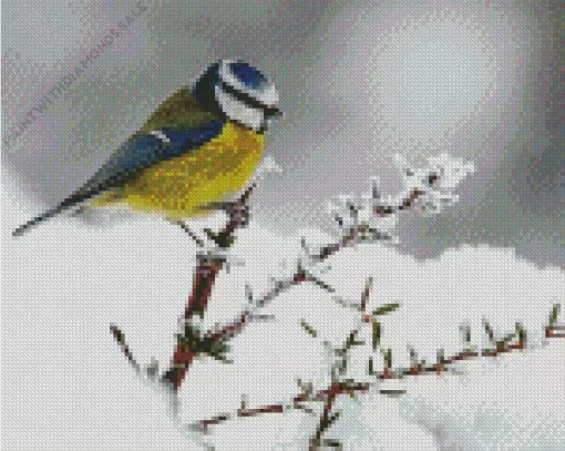 Snowy Blue Tit Diamond Painting