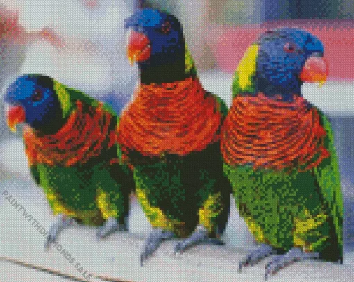 Three Trichoglossus Birds Diamond Painting