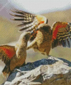 Two Kea Birds Diamond Painting