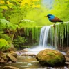 Waterfall And Indigo Bunting Diamond Painting