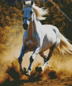 white Arabian Horse Running Diamond Painting