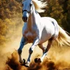 white Arabian Horse Running Diamond Painting