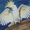 White Cockatoo Diamond Painting