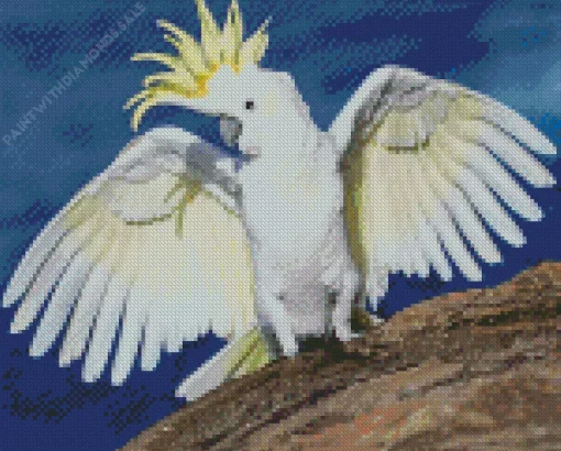 White Cockatoo Diamond Painting