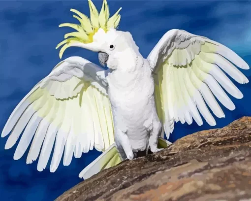 White Cockatoo Diamond Painting