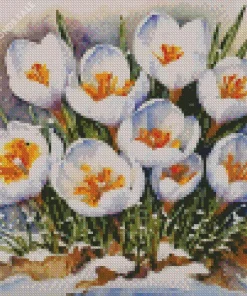 White Crocus Flowers Diamond Painting