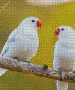 White Lovebirds Diamond Painting