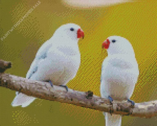 White Lovebirds Diamond Painting