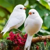 White Lovebirds In A Floral Branch Diamond Painting