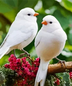 White Lovebirds In A Floral Branch Diamond Painting