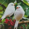 White Lovebirds In A Floral Branch Diamond Painting