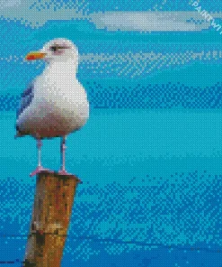 White Seagull Bird Diamond Painting