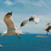 White Seagulls Diamond Painting