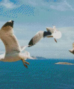 White Seagulls Diamond Painting