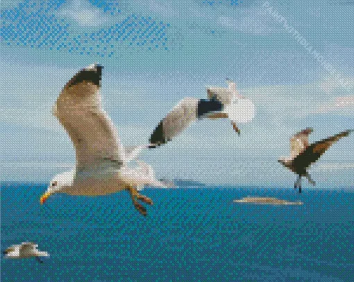 White Seagulls Diamond Painting