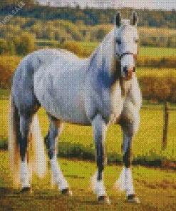 White Shire Horse Diamond Painting