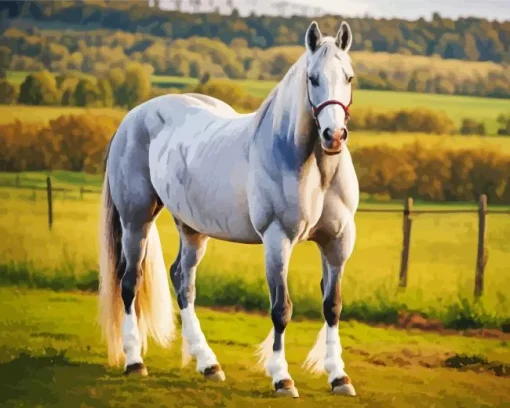 White Shire Horse Diamond Painting