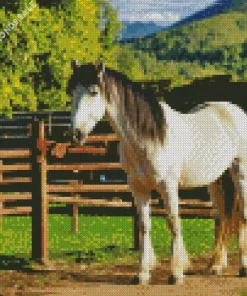 white Shire Horse With Black Hair Diamond Painting