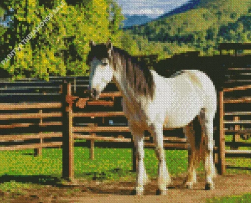 white Shire Horse With Black Hair Diamond Painting