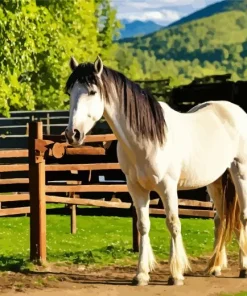 white Shire Horse With Black Hair Diamond Painting