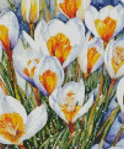 White And Orange Crocus Diamond Painting