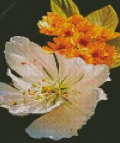 White And Orange Ikebana Diamond Painting