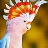 White And Pink Cockatoo Diamond Painting