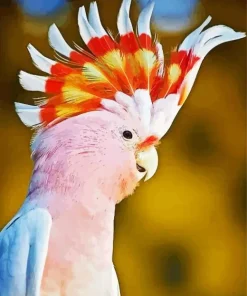 White And Pink Cockatoo Diamond Painting