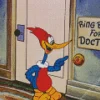 Woody Woodpecker In Knock Knock Diamond Painting