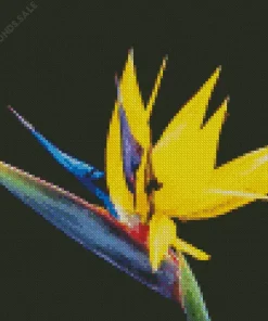 Yellow Bird Of Paradise Diamond Painting