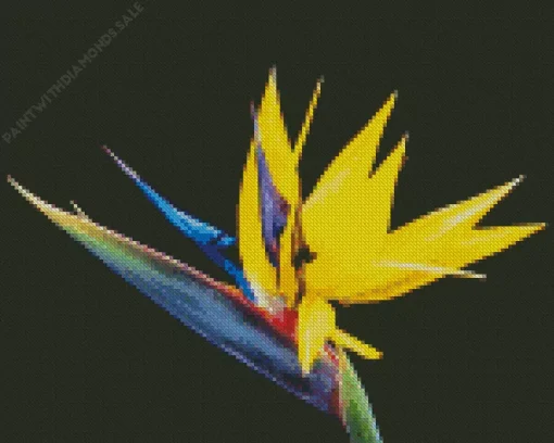 Yellow Bird Of Paradise Diamond Painting