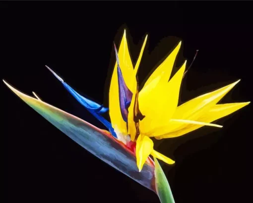 Yellow Bird Of Paradise Diamond Painting