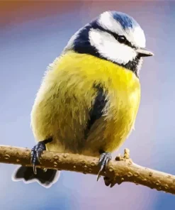 Yellow Blue Tit Diamond Painting