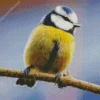 Yellow Blue Tit Diamond Painting