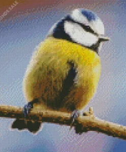 Yellow Blue Tit Diamond Painting