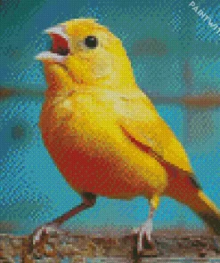 Yellow Canary Singing Diamond Painting